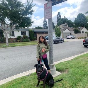 Meet your Posher, Ashley